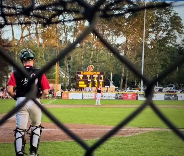 The view from Miss Sue's bench.