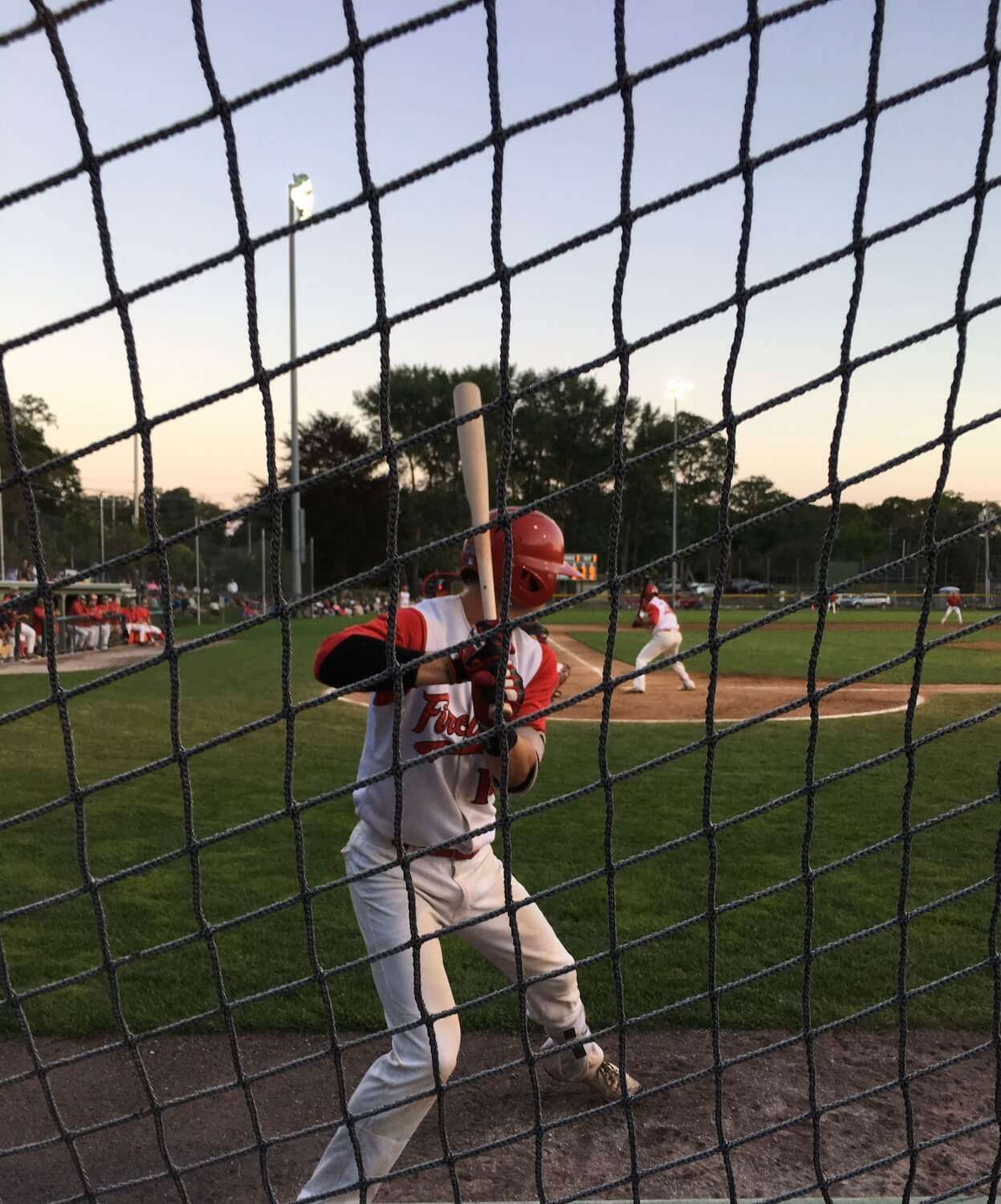 The parallels that enchant and instruct.