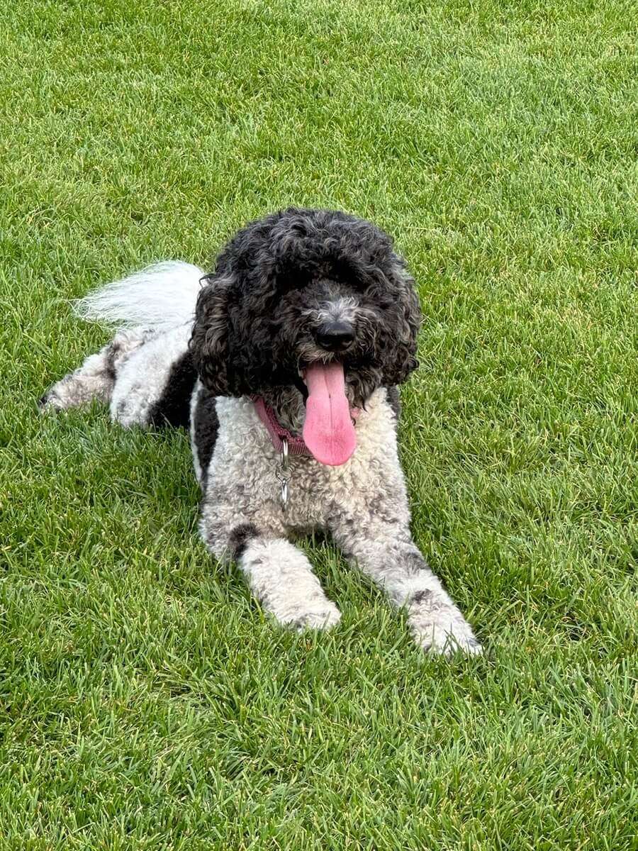 Then it was time to go for ice cream.