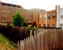 Like many D.C. neighborhoods, LeDroit Park had many alleys and cut -throughs like the one seen at left.